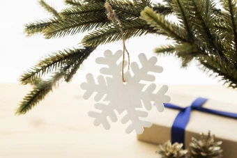 Jõuluehe Joulox RPET