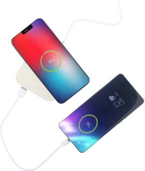 Juhtmevaba laadija Riens