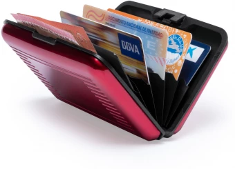Rainol credit card holder