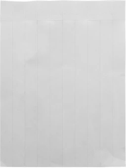 Käepaelad Wristvek tyvek (10 tk)