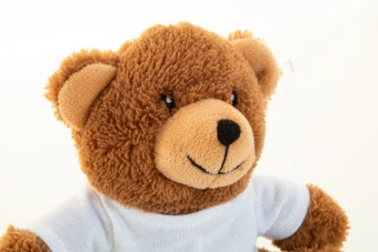 Kaisuloom Rebear RPET