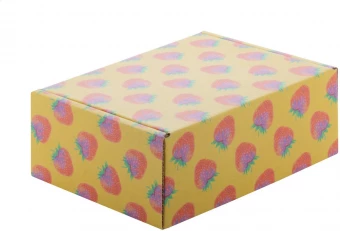 Karp 160×60×120 mm