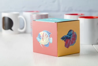Kingikarp kruusile CreaBox