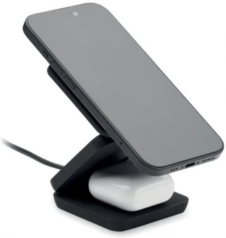 Kokkupandav laadija Netica