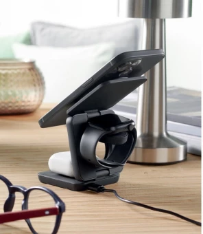 Kokkupandav laadija Netica