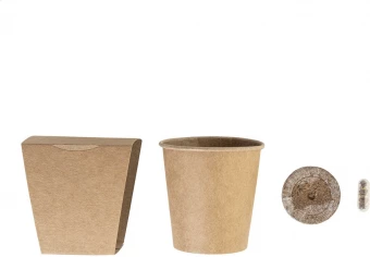 Kuuse kasvatamise komplekt MerryGrow