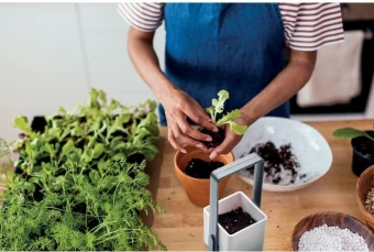 LED-valgustusega siseaiakomplekt Lushlet