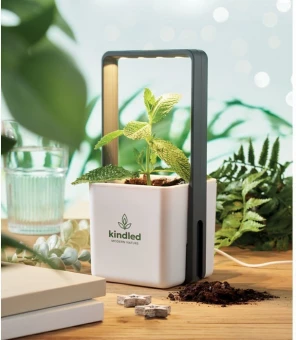 LED-valgustusega siseaiakomplekt Lushlet