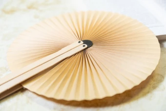Lehvik Lolli