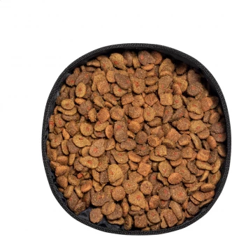 Lemmiklooma jooginõu Poppy