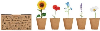 Lillede kasvatamise komplekt FLOWERS