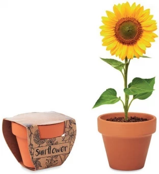 Lillepott SUNFLOWER