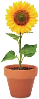 Lillepott SUNFLOWER