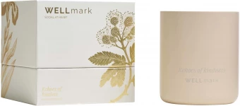 Lõhnaküünal Wellmark