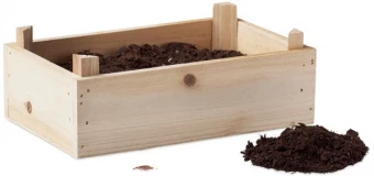 Maasikate kasvatamise komplekt STRAWBERRY