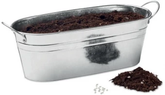 Maitsetaimede seemned MIX SEEDS