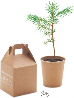 Männipuu kasvatamise komplekt