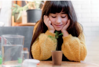 Männipuu kasvatamise komplekt