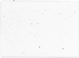 Märkmepaberid Albot