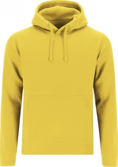 Meeste kapuutsiga pusa Draco