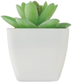 Mini kunsttaim potis Artigrap