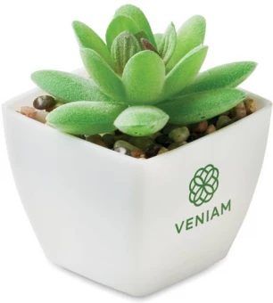 Mini kunsttaim potis Artigrap