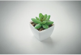 Mini kunsttaim potis Artigrap