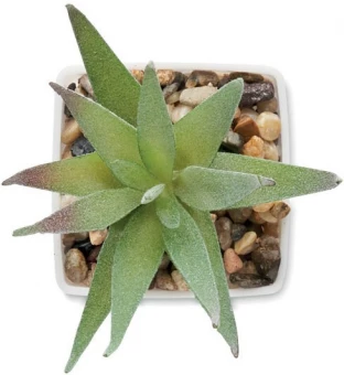 Mini kunsttaim potis Artiloe