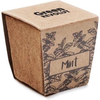 Mündiseemnete kasvatamiskomplekt Mint set