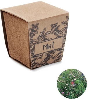 Mint seeds growing kit