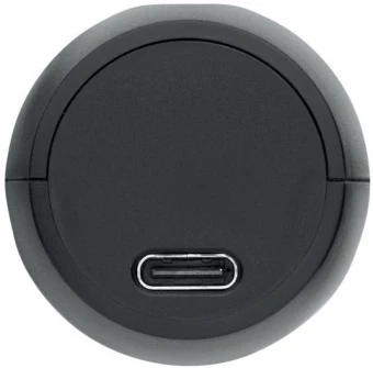 Piimavahustaja Froath