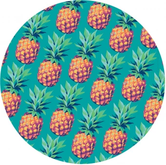 Prillilapp CreaClean