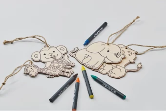 Puidust värvimiskomplekt Thezoo