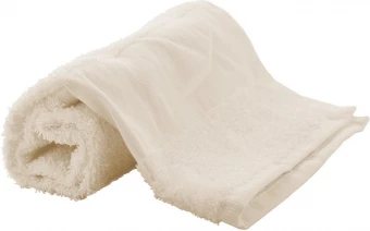 Rätik Terry S