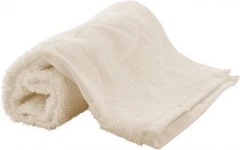 Rätik Terry S