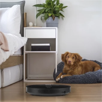 Robottolmuimeja Prixton