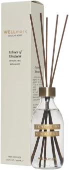 Ruumilõhnastaja 200 ml Wellmark