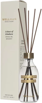 Ruumilõhnastaja 200 ml Wellmark