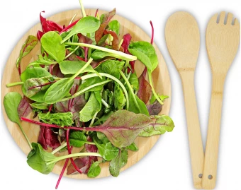 Salatitarvikute komplekt Argulls