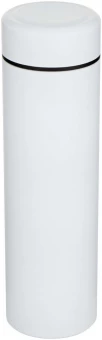Sõelaga termospudel Taylor 450 ml