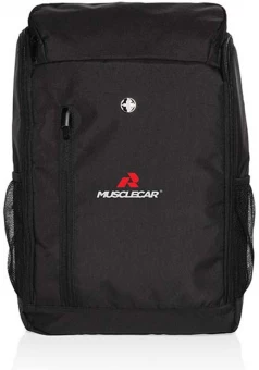 Sülearvuti seljakott Swiss Peak AWARE™ 15.6''