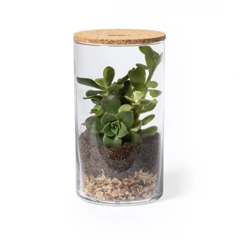 Terraarium Anymak
