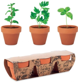 Ürdipottide komplekt FLOWERPOT