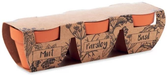 Ürdipottide komplekt FLOWERPOT