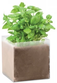 Ürtide kasvatamise komplekt BASIL