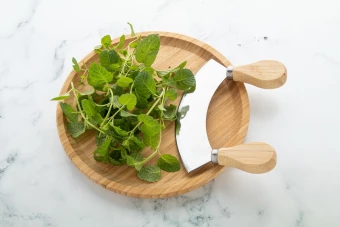 Ürtide lõikekomplekt Tabbouleh