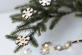 Valguskett Polaris Christmas