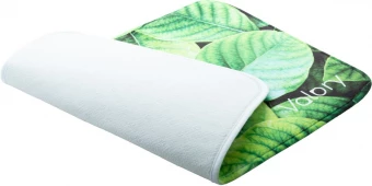 Vannitoa matt Bentry