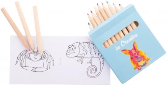 Värvimiskomplekt Coloxil