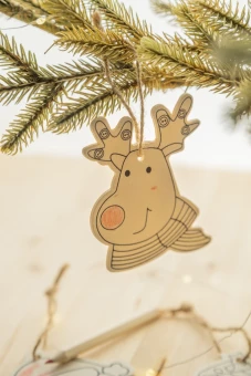 Värvitavad jõuluehted Oppland